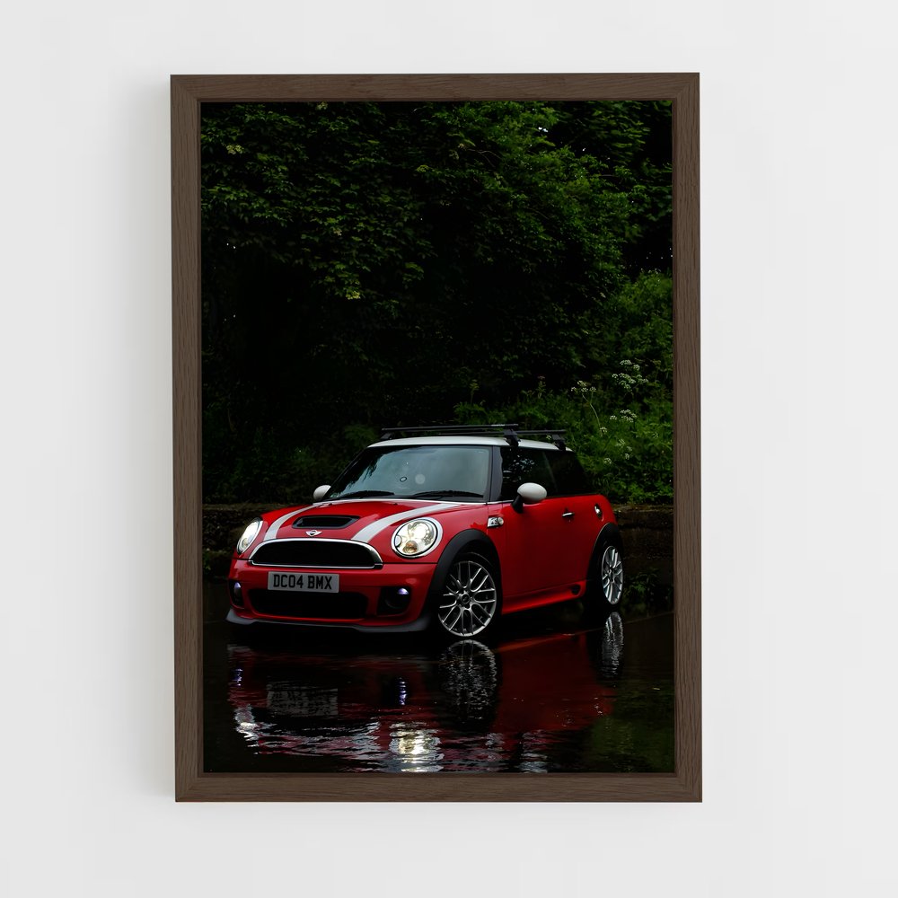 Poster Mini Aquatique (vue 5)